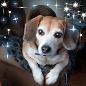 Meet your Posher, Cheryl